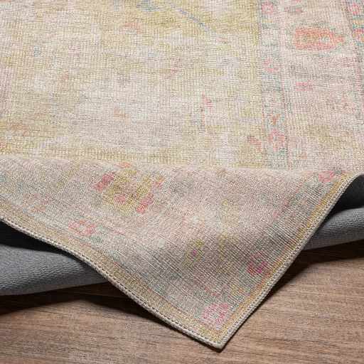 Bozkurt Boutique Washable Rug - MyTuftedRugs.com
