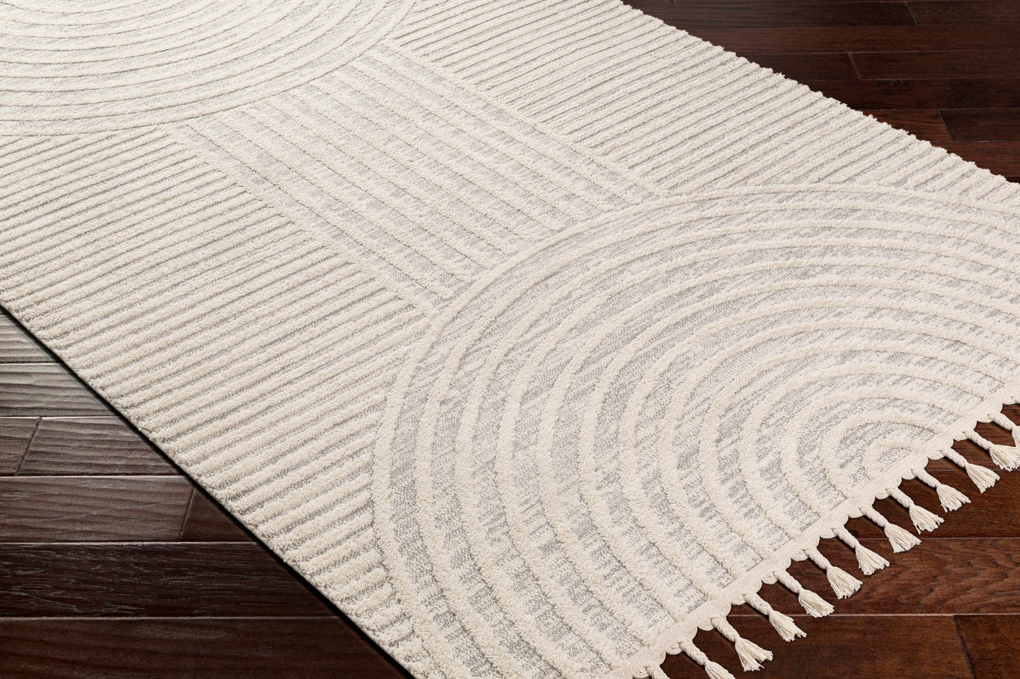 Dauin 3D Rainbow Area Rug with Tassels - MyTuftedRugs.com
