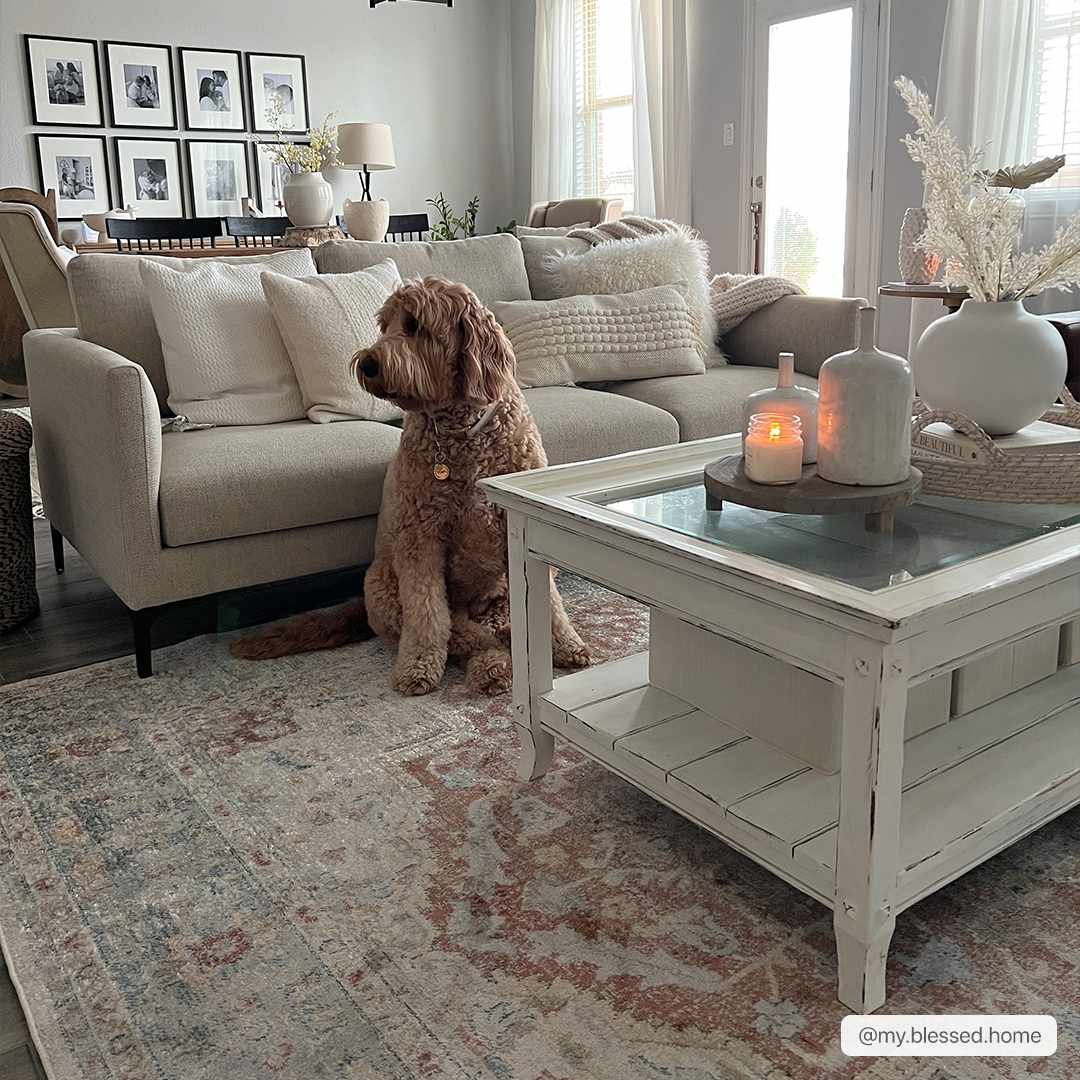 Emke Flat Pile Washable Rug - MyTuftedRugs.com