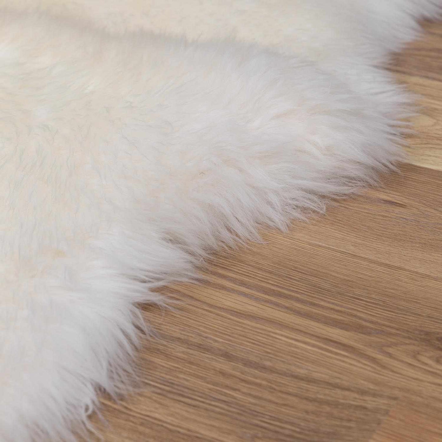 Premium White Soft Sheepskin Rug - MyTuftedRugs.com