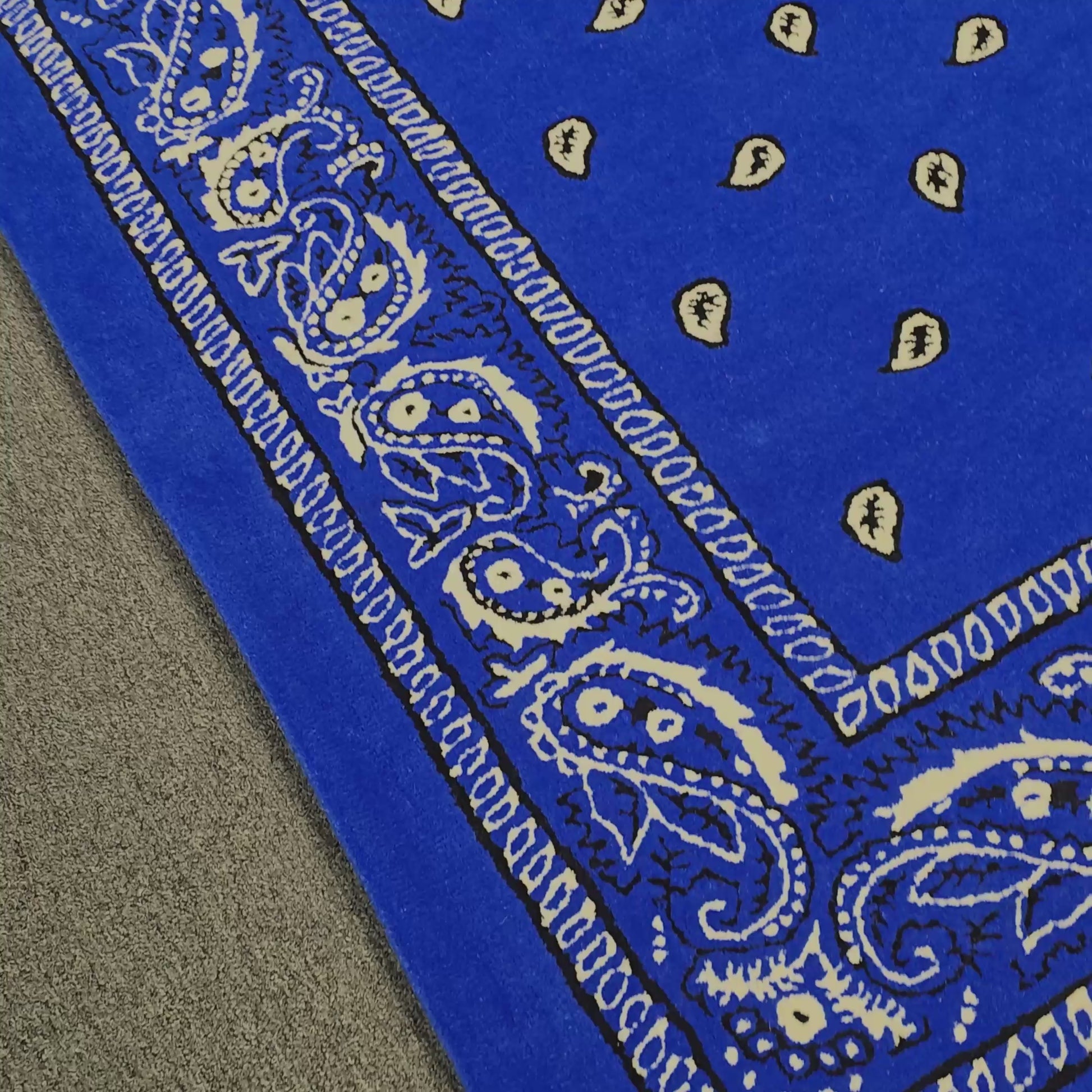 Blue Paisley Pattern Hand Tufted Rug