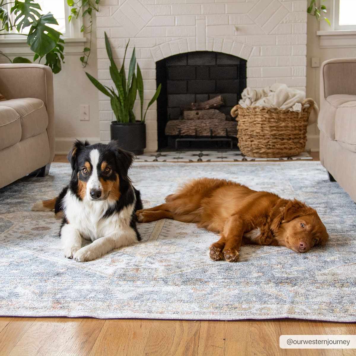 Afya Boutique Washable Rug - MyTuftedRugs.com