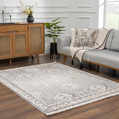 Agoo High - Low Pile Rustic Rug - MyTuftedRugs.com