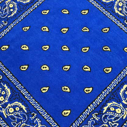 Blue Paisley Pattern Hand Tufted Rug - MyTuftedRugs.com