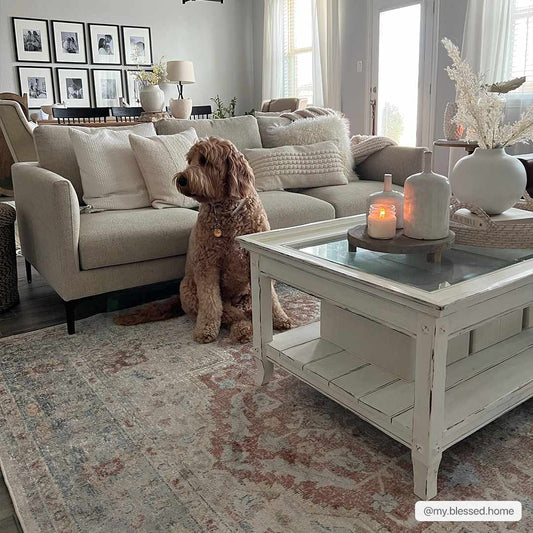 Emke Flat Pile Washable Rug - MyTuftedRugs.com