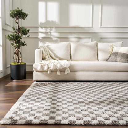 Kieu Taupe Checkered Plush Rug - MyTuftedRugs.com